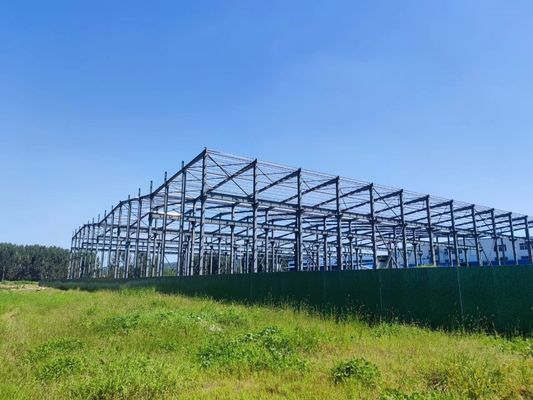 Q235 Excellent Design Prefabricated Steel Structure Workshop Construction Delivery Solution