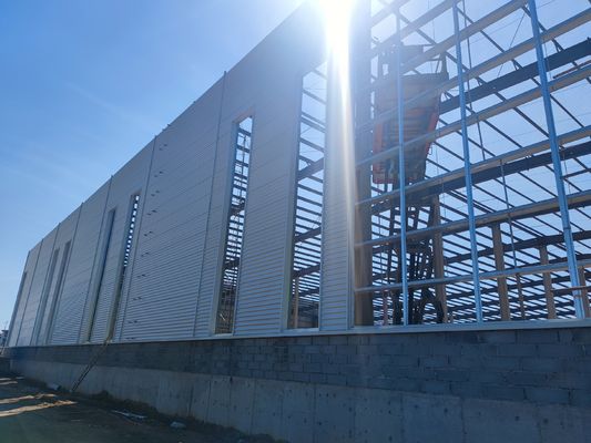 Australia Style Well Designed Prefabricated Steel Structure Warehouse Construction Solution