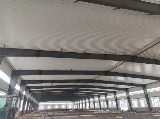Hot-Rolled or Welded H Beam and Column for Strong and Durable Main Frame in Steel Structure Logistic Warehouse