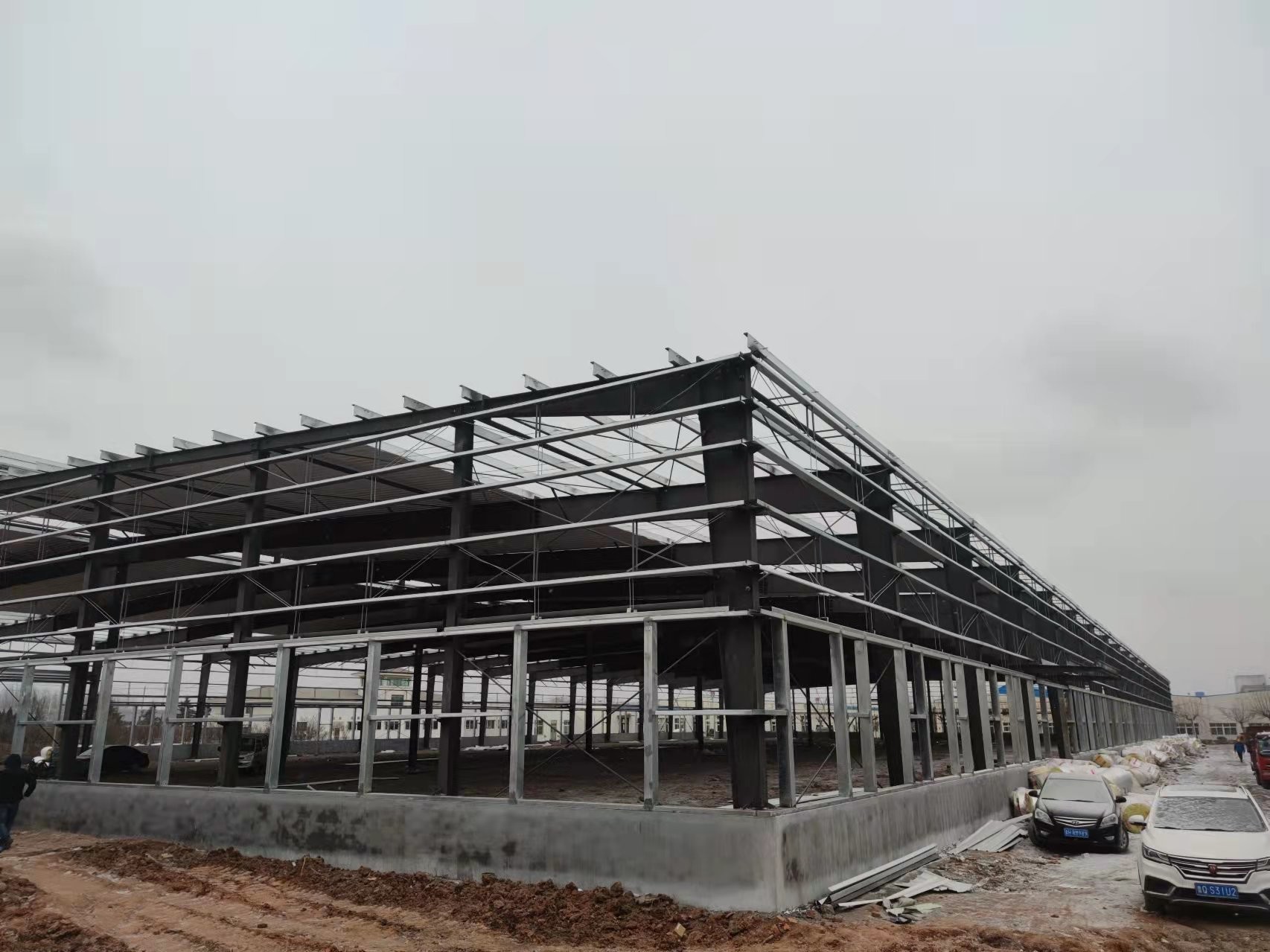 Colorful Cladding Steel Frame Workshop By TEKLA Modeling Designed Steel ...