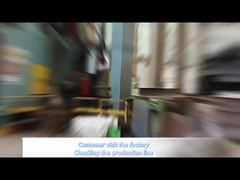 Client visiting factory and check production line