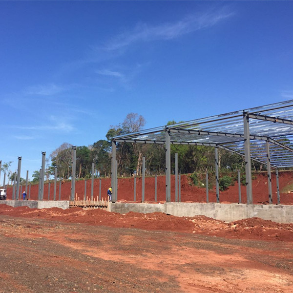 Light Steel Frame Buildings Paint / Galvanized With 50 Years